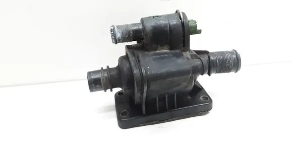 Thermostat/thermostat housing