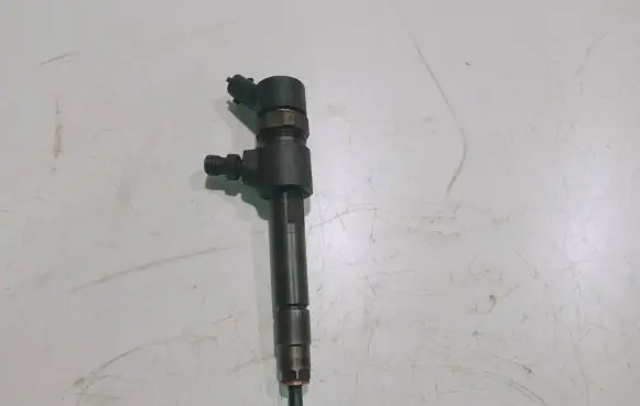 Opel Signum Fuel injector 0445110165 AIZX1266T