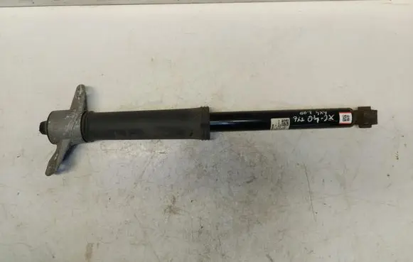 Volvo XC40 Rear shock absorber/damper 32221541