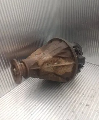 Nissan Terrano Rear differential