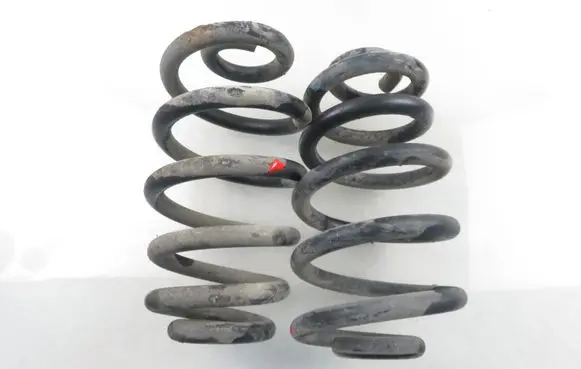 Rear coil spring
