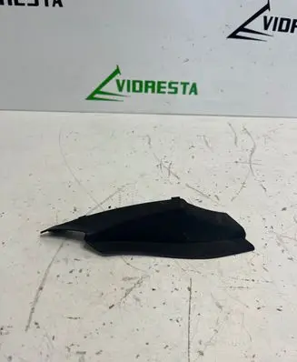 Fender trim (molding)