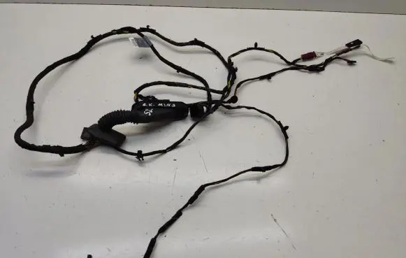 Rear door wiring loom