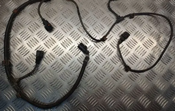 Volkswagen PASSAT B5.5 Parking sensor (PDC) wiring loom 3B0973813