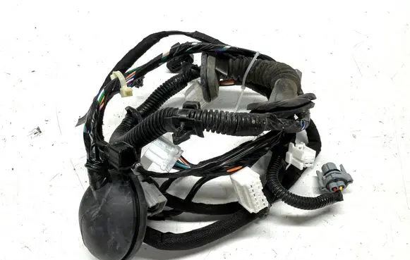 Nissan Qashqai Front door wiring loom 24125JD06D