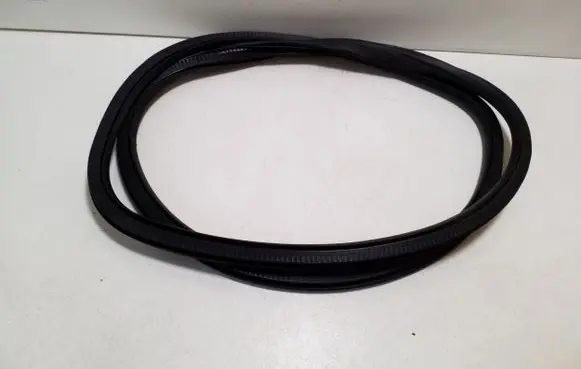 Opel Ampera Rear door rubber seal (on body) 