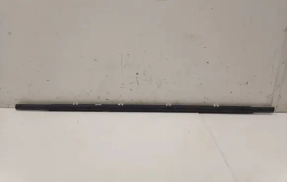 KIA Niro Rear door glass trim molding