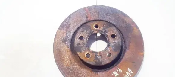 Ford Kuga I Front brake disc ventiliuojamas