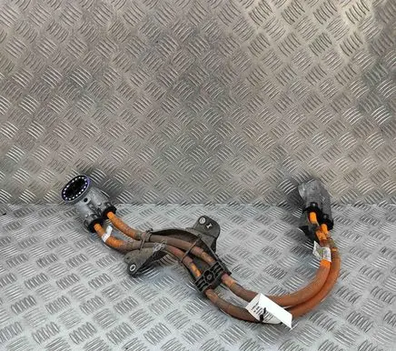 BMW X2 U10 Other wiring loom 5A1CA66 5A1CA67