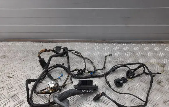 BMW 7 F01 F02 F03 F04 Front door wiring loom 9234121 9234120