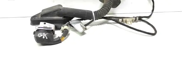 Rear door wiring loom