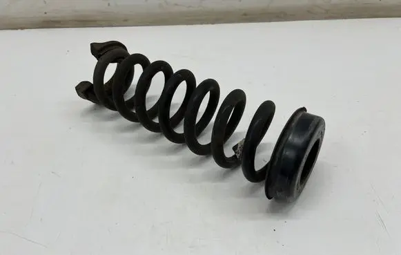 Rear coil spring