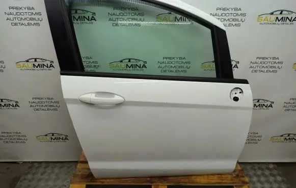 Ford B-MAX Front door