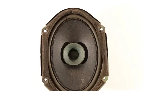 Front door speaker