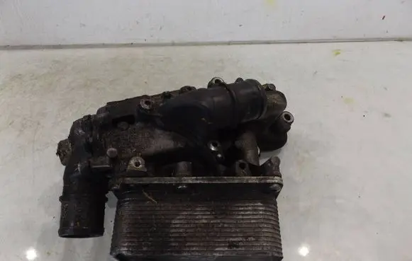 Renault Scenic III - Grand scenic III Oil filter cover 