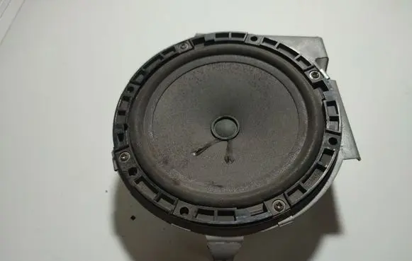 Fiat Doblo Front door speaker