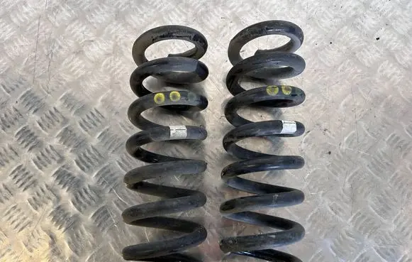 Rear coil spring