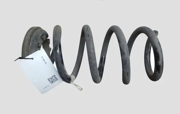 Tesla Model Y Rear coil spring 118847400B