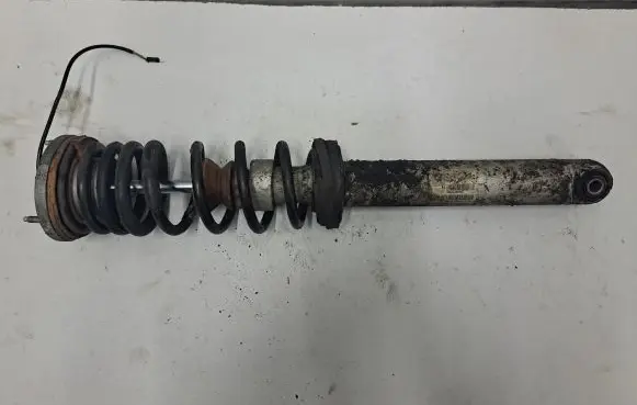 Rear shock absorber/damper