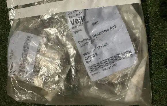 Citroen C3 Muffler pipe connector clamp 171366