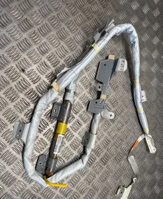 Mitsubishi Shogun Roof airbag BAMPT11150 8981009
