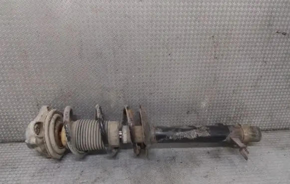Fiat Ducato Front shock absorber with coil spring