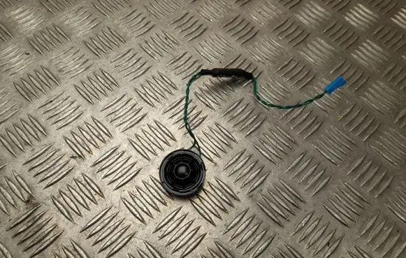 Front door high frequency speaker