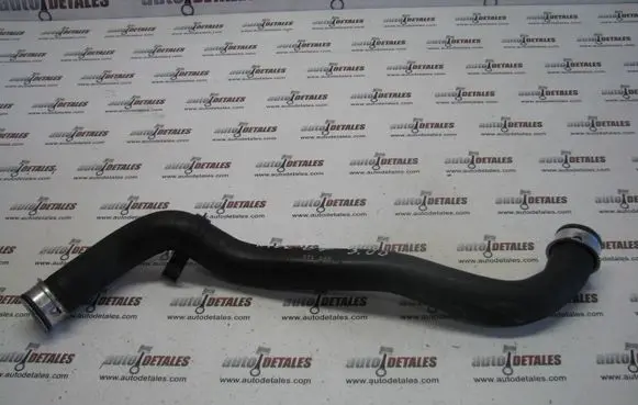 Mercedes-Benz E W211 Engine coolant pipe/hose A2115015382