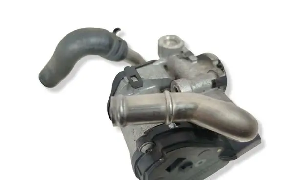 Volkswagen Tiguan EGR valve 12863701 3006151007 185509130