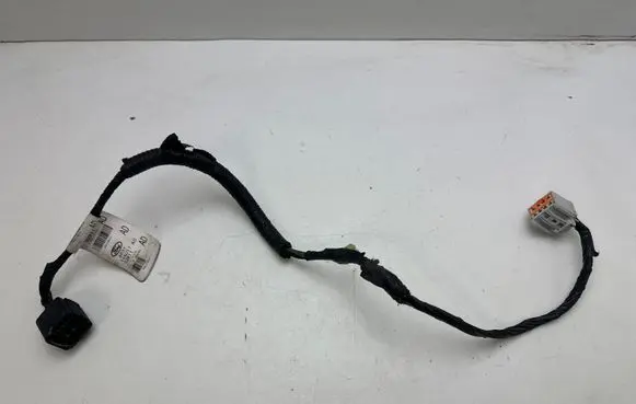 Ford Mustang V Other wiring loom G281T