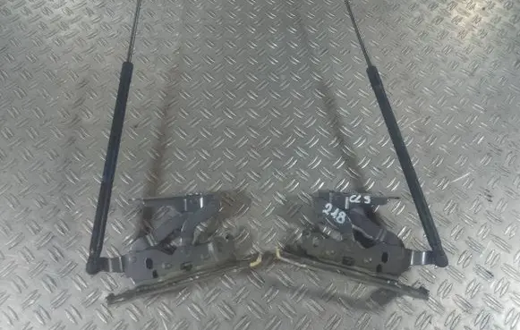 Mercedes-Benz CLS C218 X218 Engine bonnet/hood hinges A2048800728