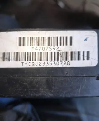 Chrysler Voyager Fuse module 319100