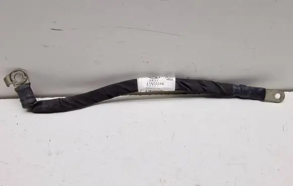 Ford Mustang VI Other wiring loom GR3T19A095AB