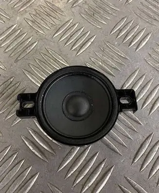 Panel speaker