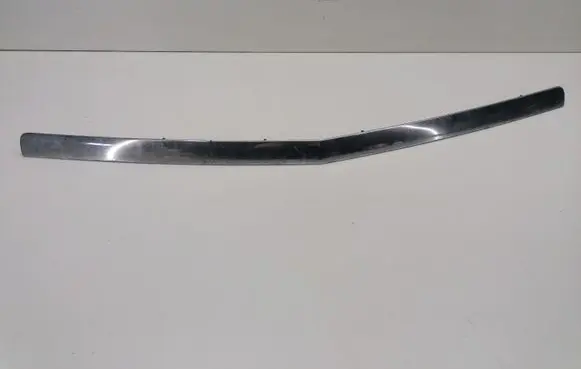 Cadillac CTS Engine hood trim 25745952