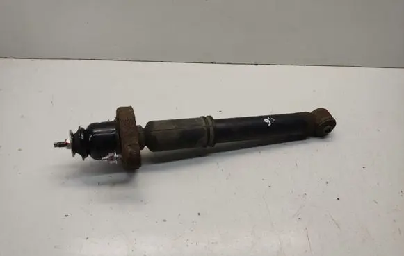 Mitsubishi Outlander Rear shock absorber/damper 4162A050