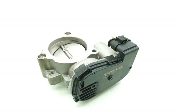Throttle body valve