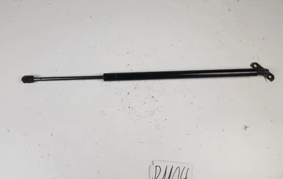 Chrysler Pacifica Tailgate/trunk strut/damper