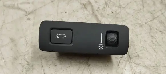 Volvo S90, V90 Tailgate opening switch 31443873