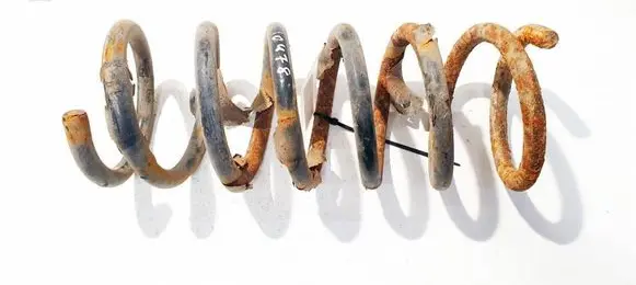 Rear coil spring