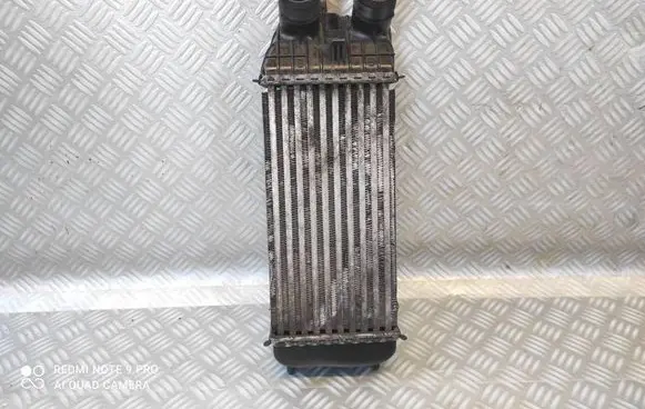 Citroen DS3 Intercooler radiator 9684311680