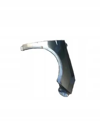 Ford Focus Fender