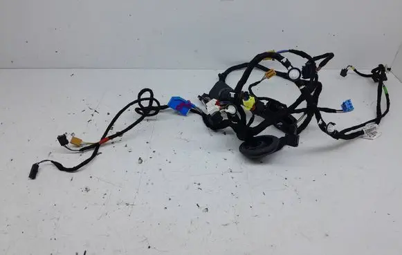 Cupra Formentor Front door wiring loom 5FB971120BN
