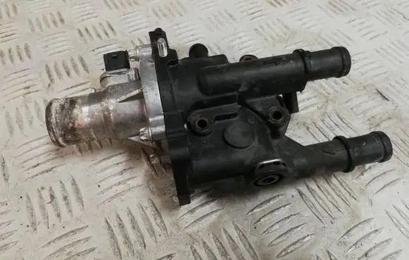 Thermostat/thermostat housing