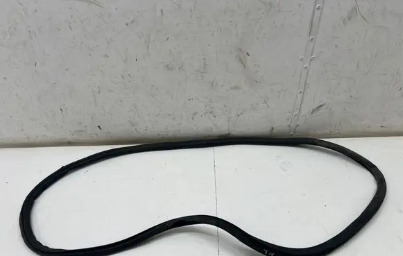 Porsche Panamera (971) Rear door rubber seal (on body) 971833721
