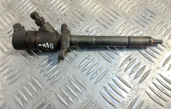 Citroen C4 I Fuel injector 0445110281