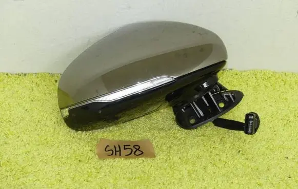 Front door electric wing mirror