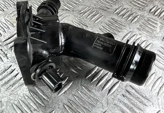 Thermostat/thermostat housing