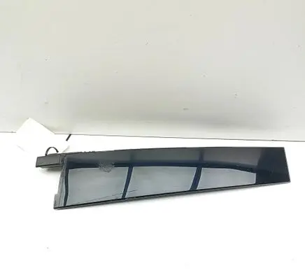 Ford Mustang Mach-E Rear door glass trim molding LJ8BR254A40ABW