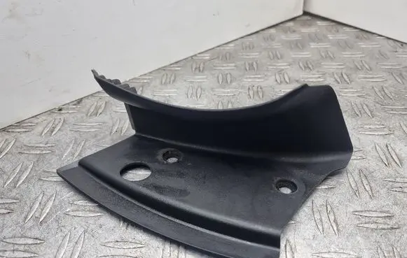 Rear/tail light trim molding